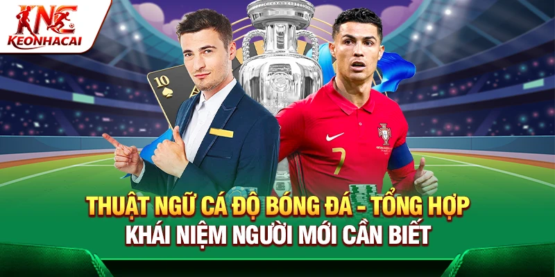 https://ainftnews.io/thuat-ngu-ca-do-bong-da/